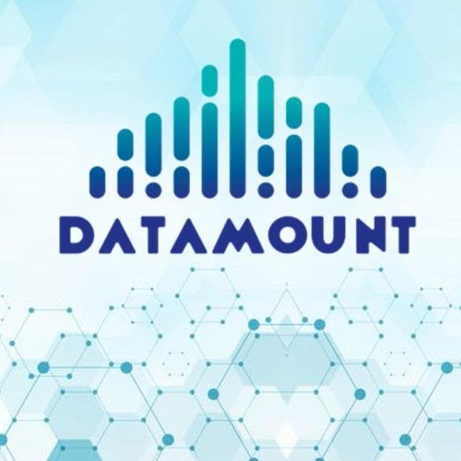 Data Mount logo
